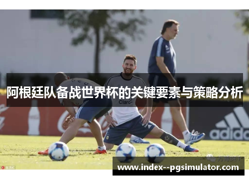 阿根廷队备战世界杯的关键要素与策略分析