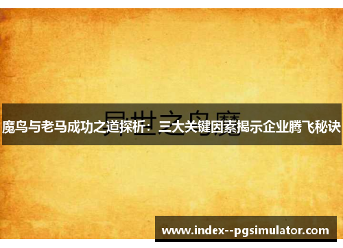 魔鸟与老马成功之道探析：三大关键因素揭示企业腾飞秘诀